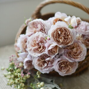 \̔ o c o Vc ͖{o pjG io^o蒆 lG炫 KN ΂  sN has 4{ȍ~