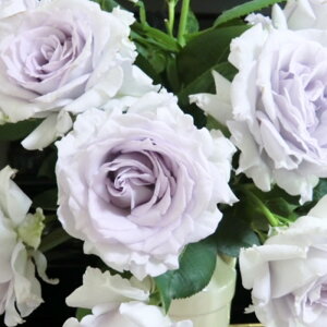 \̔ o c o Vc ͖{o  io^o蒆 lG炫 KN ΂   has 4{ȍ~