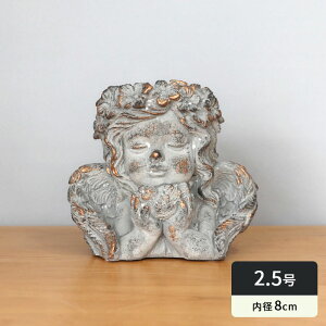  Aؔ ER29GY AQX|bgA O[S[h 2.5 ꌊ  AeB[N Zg dlk