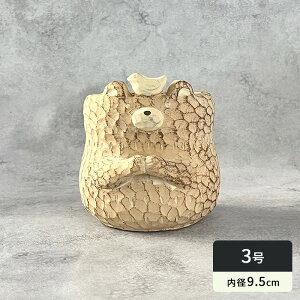  Aؔ KL33WD V|bg N} L EbhJ[ 3 ꌊ  AeB[N Zg dlk
