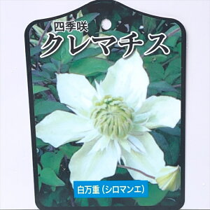 \̔ N}`X c d n 2Nc 10.5cm|bg yok 11{ȍ~