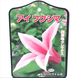 \̔ N}`X c ACtNV} eLZVXn o^i 2Nc 10.5cm|bg yok 11{ȍ~