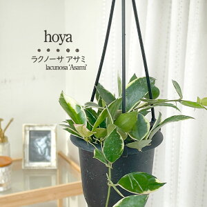 ϗtA z Nm[T AT~ 3 ݂蔫 ݂艺 nMO  ϗtA  蕨 v[g CeA  grb