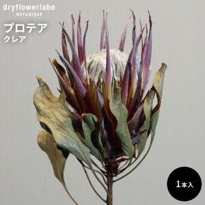 hCt[ veA NA CeA  fBXvC AeB[N   AW XbO u[P ԍ f hCt[{ dfl