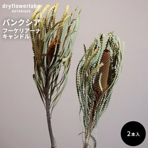 hCt[ oNVA t[PA[iLh 2{ CeA  fBXvC AeB[N   AW XbO u[P ԍ f hCt[{ dfl