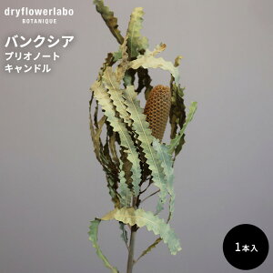 hCt[ oNVA vIm[gLh CeA  fBXvC AeB[N   AW XbO u[P ԍ f hCt[{ dfl