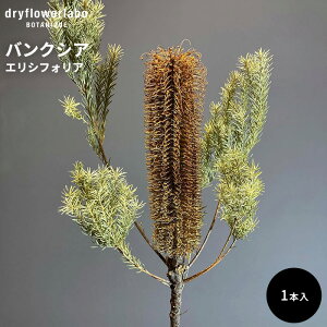 hCt[ oNVA GVtHA CeA  fBXvC AeB[N   AW XbO u[P ԍ f hCt[{ dfl