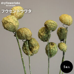 hCt[ tEZgE^ 5{ CeA  fBXvC AeB[N   AW XbO u[P ԍ f hCt[{ dfl