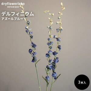 hCt[ ftBjE AY[u[ 3{ CeA  fBXvC AeB[N   AW XbO u[P ԍ f hCt[{ dfl