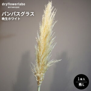 hCt[ ppXOX ӐzCg GL CeA  fBXvC AeB[N   AW XbO u[P ԍ f hCt[{ dfl