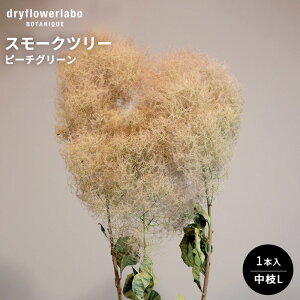 hCt[ X[Nc[ s[`O[ }L CeA  fBXvC AeB[N   AW XbO u[P ԍ f hCt[{ dfl