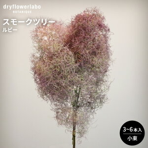 hCt[ X[Nc[ r[  3`6{ CeA  fBXvC AeB[N   AW XbO u[P ԍ f hCt[{ dfl