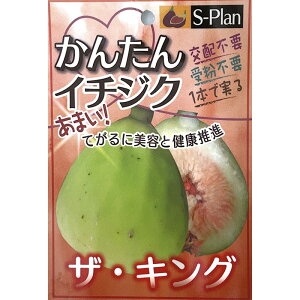 \̔  c U LO 15cm|bg C`WN ԉ n c ʎc szm 5{ȍ~