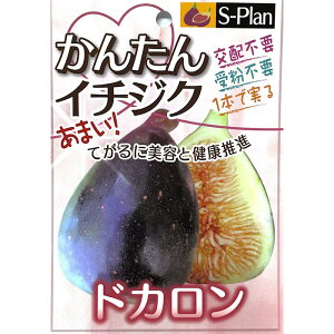 \̔  c hJ 15cm|bg C`WN ԉ n c ʎc szm 5{ȍ~