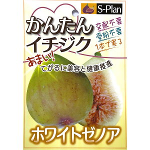 \̔  c zCg[mA 15cm|bg C`WN ԉ n c ʎc szm 5{ȍ~