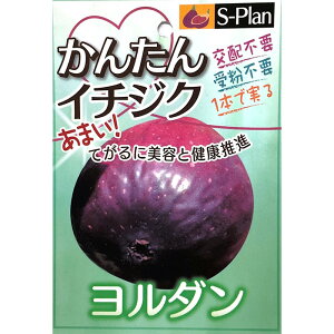 \̔  c _ 15cm|bg C`WN ԉ n c ʎc szm 5{ȍ~