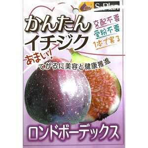 \̔  c h{[fbNX 15cm|bg C`WN ԉ n c ʎc szm 5{ȍ~