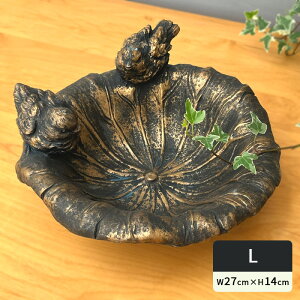  DF38BK o[hoXEH[^[|s[L ubNS[h   AeB[N Zg K[fjO dlk