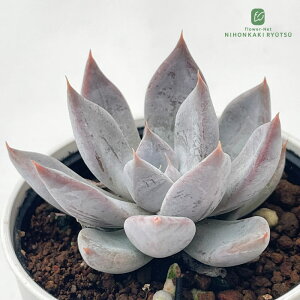 yyVX[p[Z[ P5{z A hmGPxA ^P A GPxA 6cm|bg