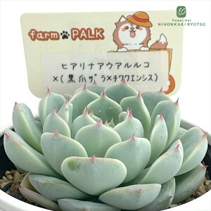 A plkGPxA qAiAEAR×i܃U×`GVXj A pNc  GPxA 6cm|bg