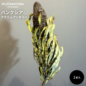 hCt[ oNVA AejA[^R[Y CeA  fBXvC AeB[N   AW XbO u[P ԍ f hCt[{ dfl