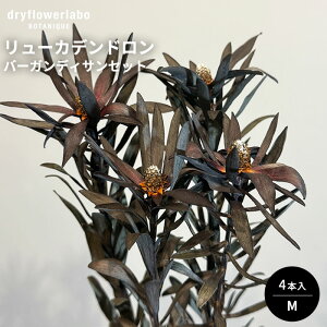 hCt[ [Jfh o[KfBTZbg M 4{ CeA  fBXvC AeB[N   AW XbO u[P ԍ f hCt[