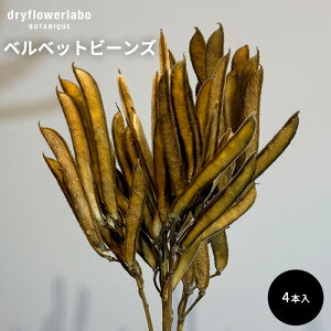 hCt[ xxbgr[Y 4{ CeA  fBXvC AeB[N   AW XbO u[P ԍ f hCt[{ dfl