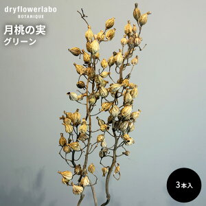 hCt[ ̎ 3{ CeA  fBXvC AeB[N   AW XbO u[P ԍ f hCt[{ dfl