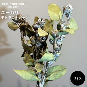 hCt[ [J egSiibc 3{ CeA  fBXvC AeB[N   AW XbO u[P ԍ f hCt[{ dfl