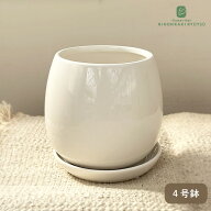 資 DOL-02 WH 4号 つぼ型 受皿付 陶器 鉢 植木鉢 インテリア 多肉植物 おしゃれ 観葉植物 mrk