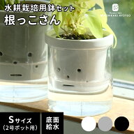 カラーが選べる植木鉢 根っこさん Sサイズ 資 PP-0256S 2号 ガラス 受皿付 陶器 鉢 水耕栽培 インテリア …