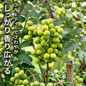 �\��̔� �Ԃǂ��R�� 12cm�|�b�g �u�h�E�T���V���E �n�[�u�c�� �ʎ��c �������� hru 11����{�ȍ~����