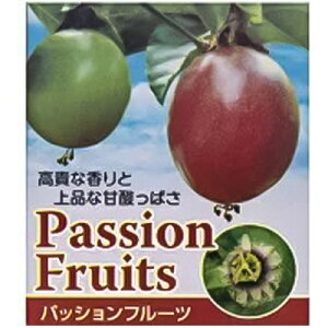 苗 パッションフルーツ 苗の人気商品 通販 価格比較 価格 Com 苗 パッションフルーツ 苗の人気商品 通販 価格比較 価格 Com