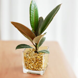 ϗtA IׂϗtA nChJ`[ [ICg KXe ygȂ k͔| ϗtA ^   蕨 v[g CeA 