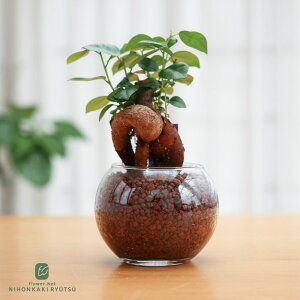 ϗtA Iׂ nChJ`[ nCh{[ KXe ygȂ k͔| Ă₷ S ^   蕨 v[g CeA  {ԃL