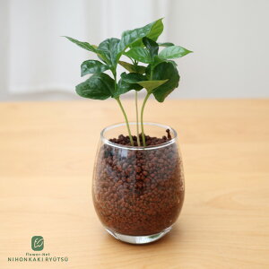 ϗtA Iׂ nChJ`[ nCh{[ KXe ygȂ k͔| Ă₷ S ^   蕨 v[g CeA  {ԃL