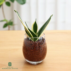 ϗtA Iׂ nChJ`[ nCh{[ KXe ygȂ k͔| Ă₷ S ^   蕨 v[g CeA  {ԃL