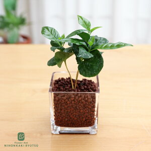 ϗtA Iׂ nChJ`[ nCh{[ KXe ygȂ k͔| Ă₷ S ^   蕨 v[g CeA  {ԃL