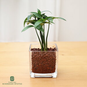 ϗtA Iׂ nChJ`[ nCh{[ KXe ygȂ k͔| Ă₷ S ^   蕨 v[g CeA  {ԃL