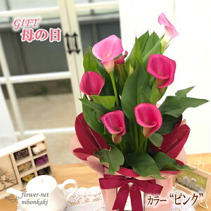 母の日 花 鉢植えの人気商品 通販 価格比較 価格 Com 母の日 花 鉢植えの人気商品 通販 価格比較 価格 Com