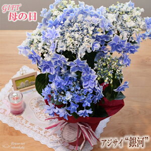 生花 アジサイ 銀河の人気商品 通販 価格比較 価格 Com