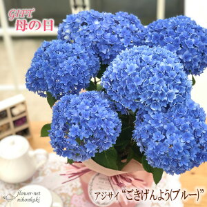 生花 アジサイ Diy 工具の人気商品 通販 価格比較 価格 Com