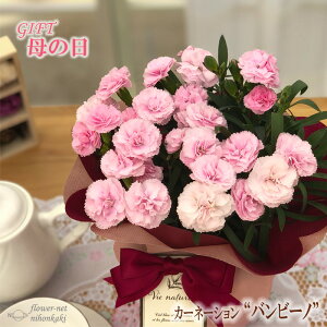 鉢植え 生花 Diy 工具の人気商品 通販 価格比較 価格 Com