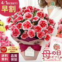 ＼ 早割 ／ 母の日 プレゼント 選べる カーネーション 12色 5号鉢 送料無料 メッセージカード付き 母の日ギフト 花 鉢…