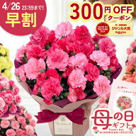 早割 ★先着300円OFF★ 母の日 プレゼント カーネーション 選べる 12色 5号鉢 送料無料 メッセージカード…