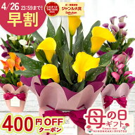 早割 ★先着400円OFF★ 母の日 プレゼント カラー 選べる 5色 5号鉢 送料無料 母の日ギフト 花 鉢植え be…