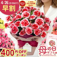 早割 ★先着400円OFF★ 母の日 プレゼント カーネーション 選べる 12色 5号鉢 送料無料 メッセージカード…