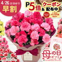 P5倍★先着クーポン! 早割 母の日 プレゼント カーネーション 選べる 12色 5号鉢 送料無料 メッセージカード付き 母の…