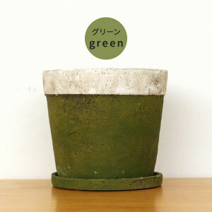 J[IׂAؔ `[YP[L LLTCY  PP-0111LL 6 Mt   CeA A  ϗtA plt