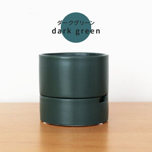 J[IׂAؔ [ MTCY  PP-0255-M 3 Mt   HA CeA  ϗtA plt